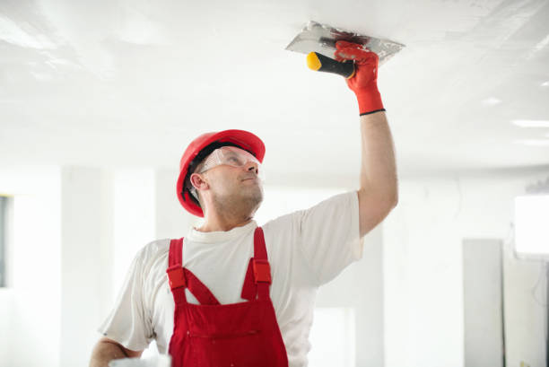 Best Wallpaper Removal and Painting  in Harper, TX